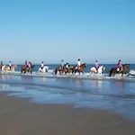 Gezellige 6-Persoons Vakantiewoning Vlakbij Het Strand In Domburg Op Ponyhof Aagtekerke