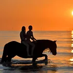 Gezellige 6-Persoons Vakantiewoning Vlakbij Het Strand In Domburg Op Ponyhof Aagtekerke