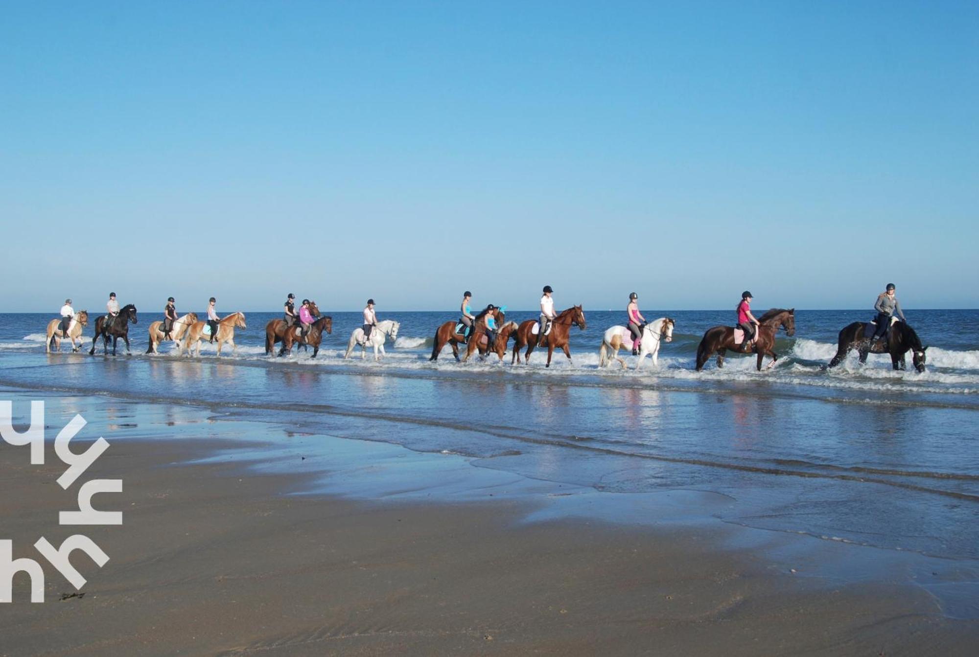 Gezellige 6-persoons Vakantiewoning Vlakbij Het In Domburg Op Ponyhof Vakantiehuis