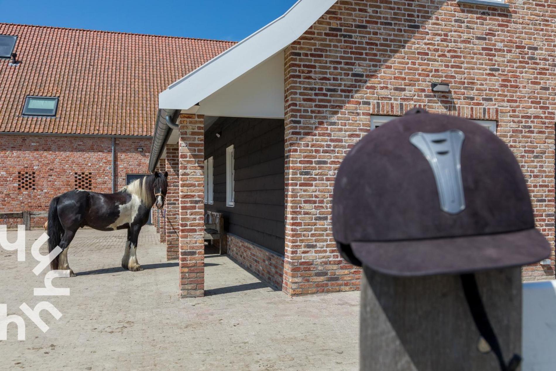 Vakantiehuis Gezellige 6-persoons Vakantiewoning Vlakbij Het In Domburg Op Ponyhof