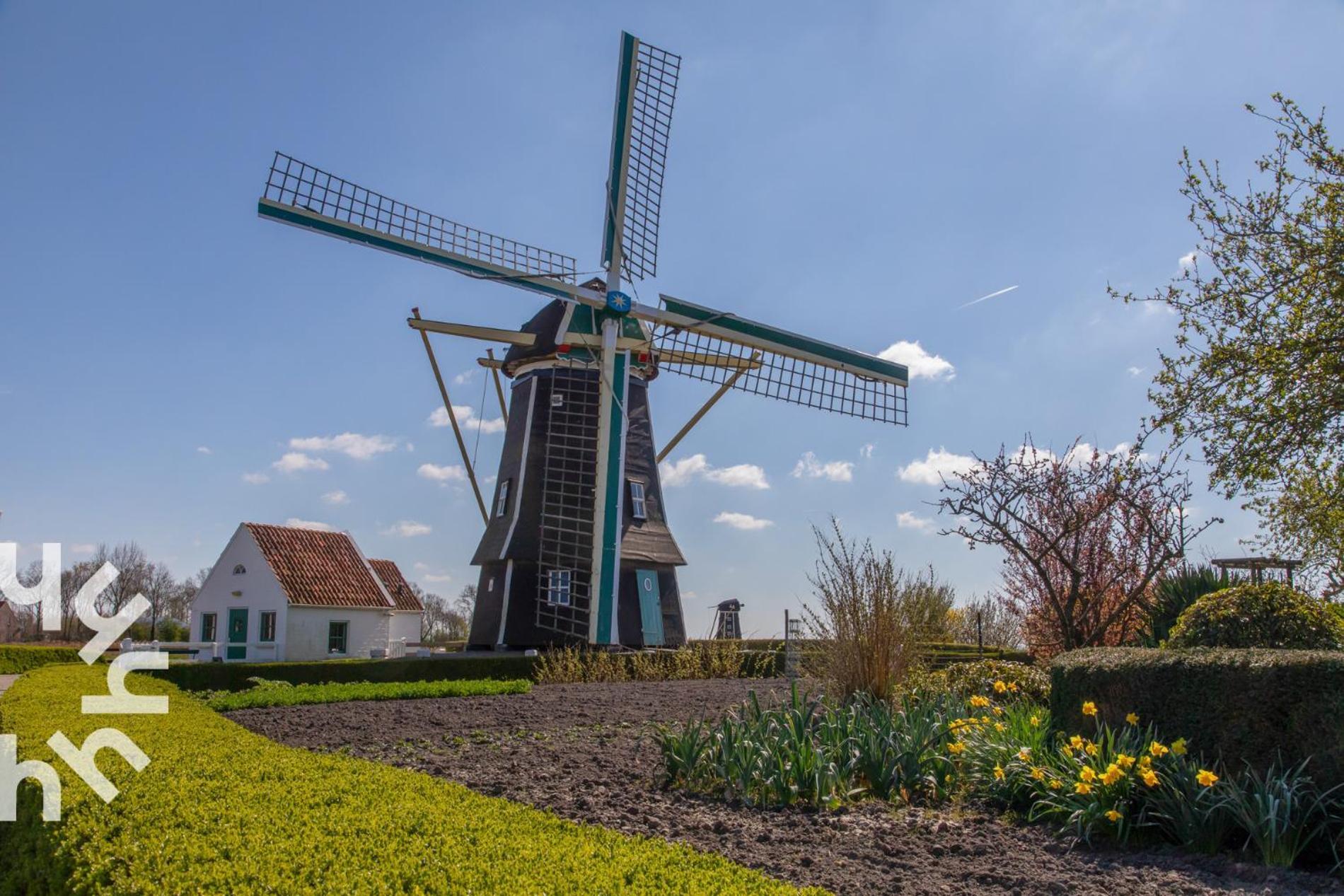 Gezellige 6-persoons Vakantiewoning Vlakbij Het In Domburg Op Ponyhof Vakantiehuis *