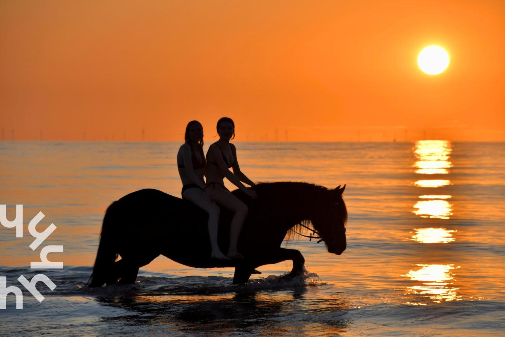 Gezellige 6-persoons Vakantiewoning Vlakbij Het In Domburg Op Ponyhof Aagtekerke